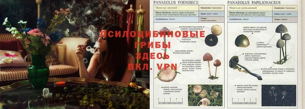 круглые Алзамай